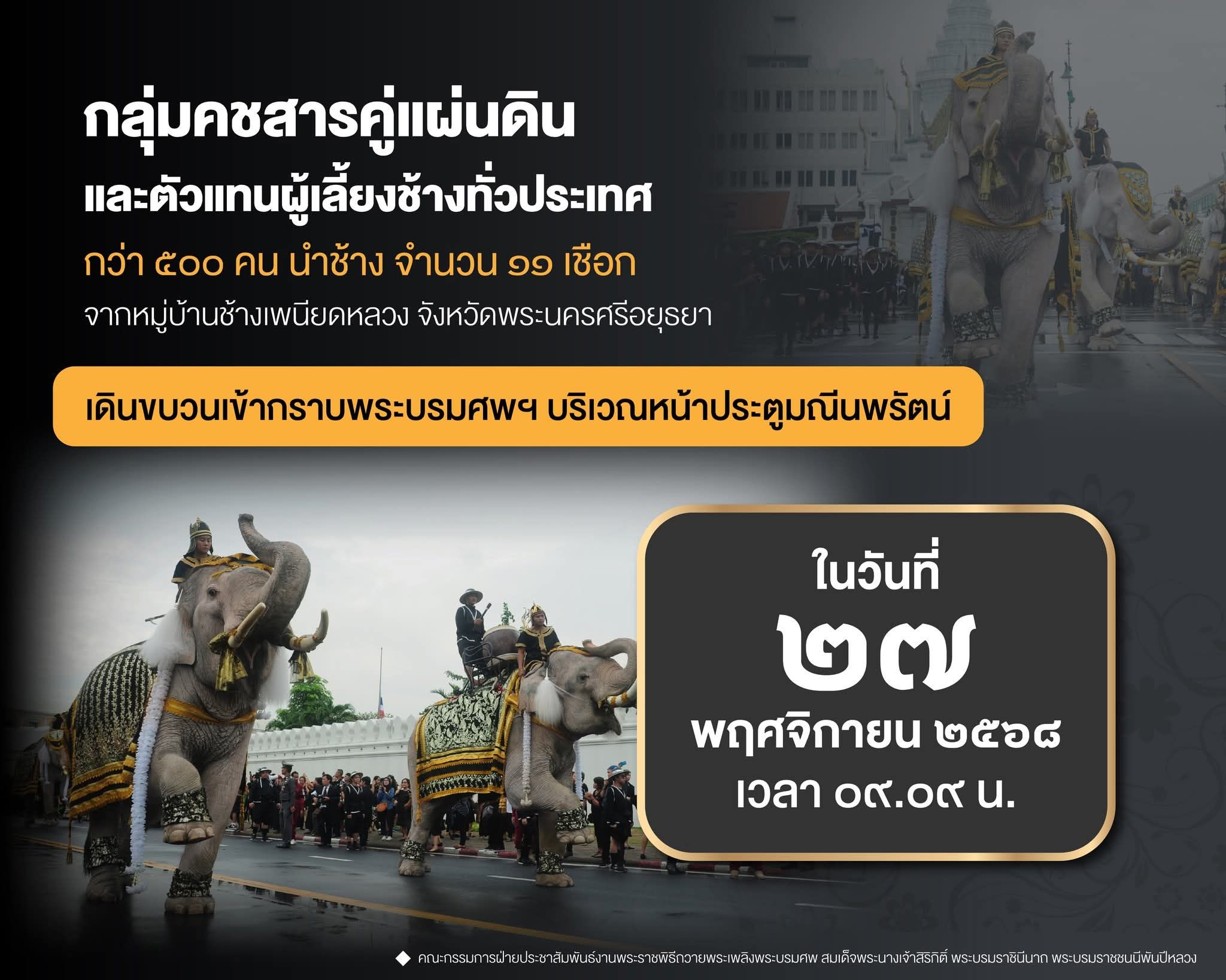 ช้าง ๑๑ เชือก จากหมู่บ้านช้างพเนียดหลวง จังหวัดพระนครศรีอยุธยา เดินขบวนเข้ากราบพระบรมศพพระพันปีหลวงฯ